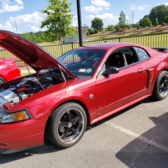 Meet your Posher, Leisa - Picture 2 of 2